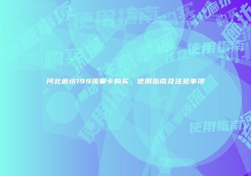 河北廊坊199流量卡购买、使用指南及注意事项