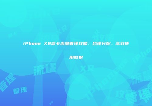 iPhone XR副卡流量管理攻略:合理分配,高效使用数据
