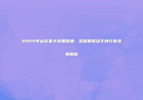 2025年山东星卡流量激增：多因素驱动下的行业变革解析