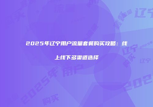 2025年辽宁用户流量套餐购买攻略：线上线下多渠道选择