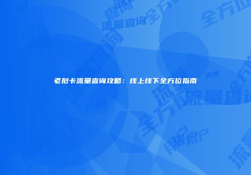 老挝卡流量查询攻略:线上线下全方位指南