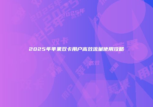 2025年苹果双卡用户高效流量使用攻略