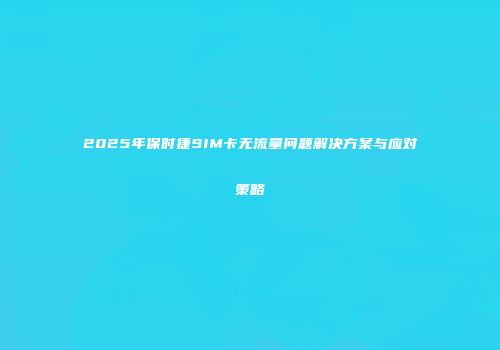 2025年保时捷SIM卡无流量问题解决方案与应对策略