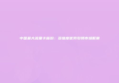 中国最大流量卡省份：多维度优势引领市场繁荣