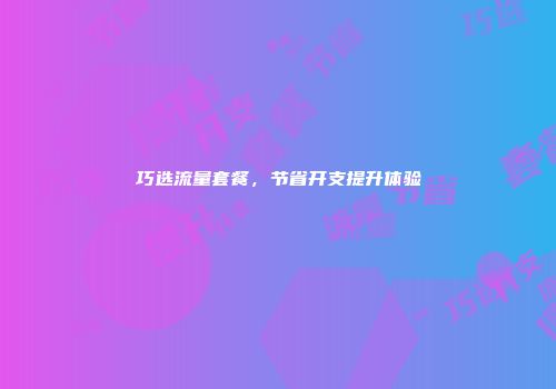 巧选流量套餐，节省开支提升体验