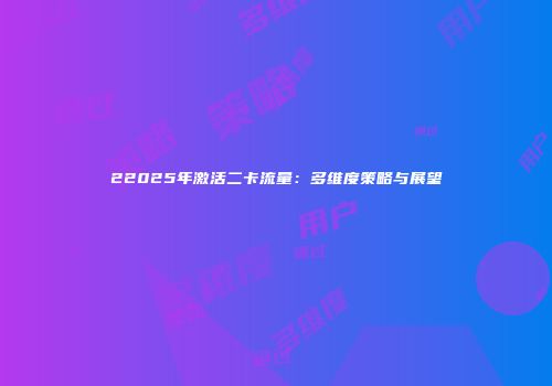 22025年激活二卡流量：多维度策略与展望