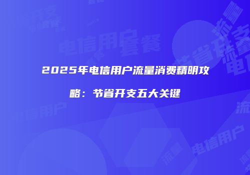 2025年电信用户流量消费精明攻略：节省开支五大关键