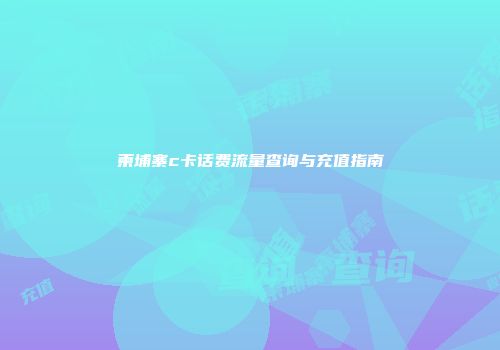 柬埔寨c卡话费流量查询与充值指南