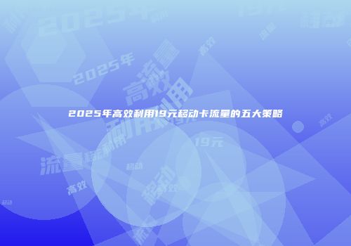 2025年高效利用19元移动卡流量的五大策略
