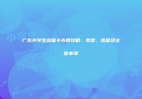 广东小学生流量卡办理攻略：类型、流程及注意事项