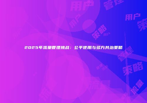2025年流量管理挑战:公平使用与多方共治策略