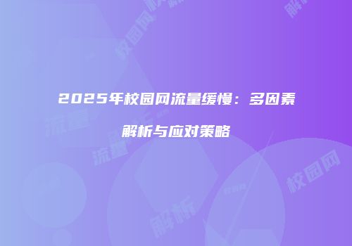 2025年校园网流量缓慢:多因素解析与应对策略
