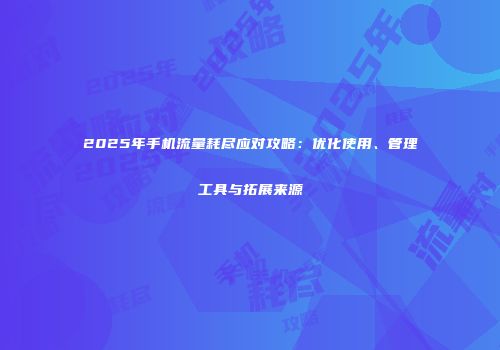 2025年手机流量耗尽应对攻略：优化使用、管理工具与拓展来源