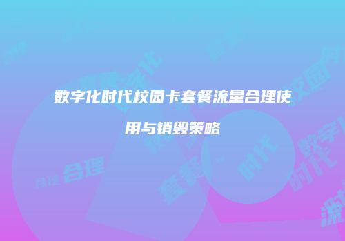 数字化时代校园卡套餐流量合理使用与销毁策略