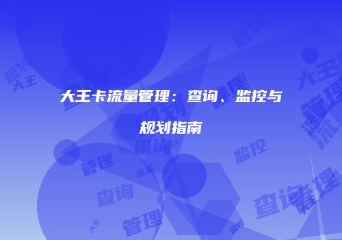大王卡流量管理：查询、监控与规划指南