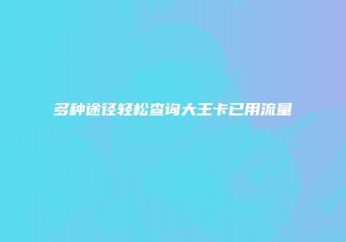 多种途径轻松查询大王卡已用流量