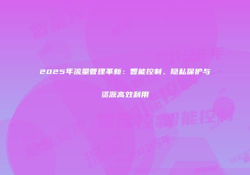 2025年流量管理革新：智能控制、隐私保护与资源高效利用