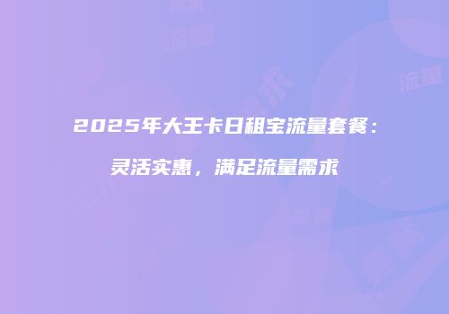 2025年大王卡日租宝流量套餐：灵活实惠，满足流量需求
