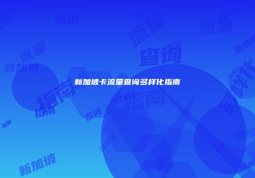 新加坡卡流量查询多样化指南