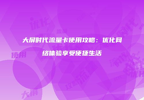 大屏时代流量卡使用攻略：优化网络体验享受便捷生活