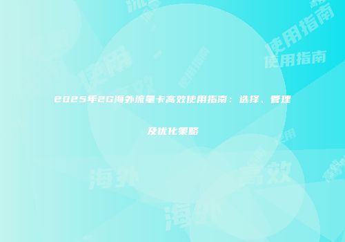 2025年2G海外流量卡高效使用指南：选择、管理及优化策略
