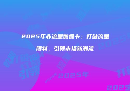 2025年非流量数据卡：打破流量限制，引领市场新潮流