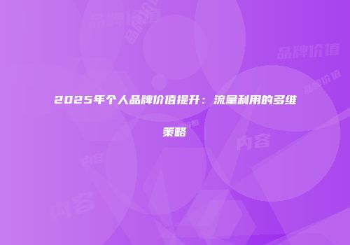2025年个人品牌价值提升：流量利用的多维策略