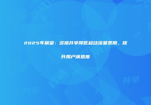 2025年展望:多措并举降低移动流量费用,提升用户满意度