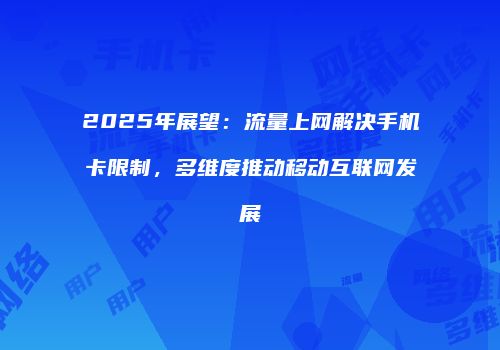 2025年展望：流量上网解决手机卡限制，多维度推动移动互联网发展