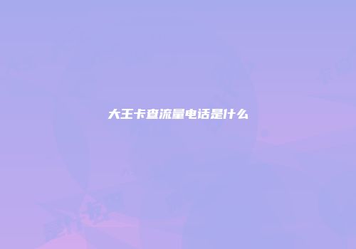 大王卡查流量电话是什么