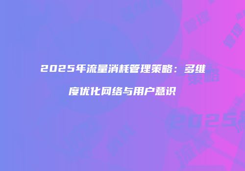 2025年流量消耗管理策略:多维度优化网络与用户意识