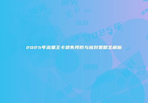 2025年流量王卡遗失预防与应对策略全解析