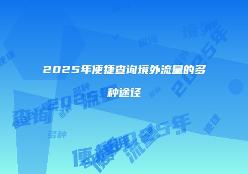 2025年便捷查询境外流量的多种途径