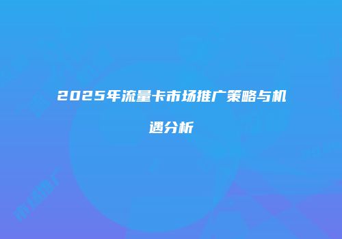 2025年流量卡市场推广策略与机遇分析