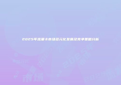 2025年流量卡市场多元化发展及竞争策略分析