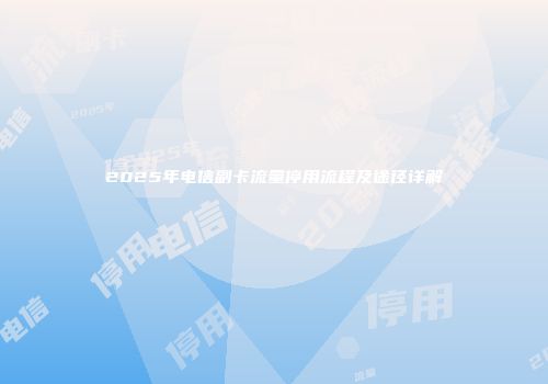 2025年电信副卡流量停用流程及途径详解