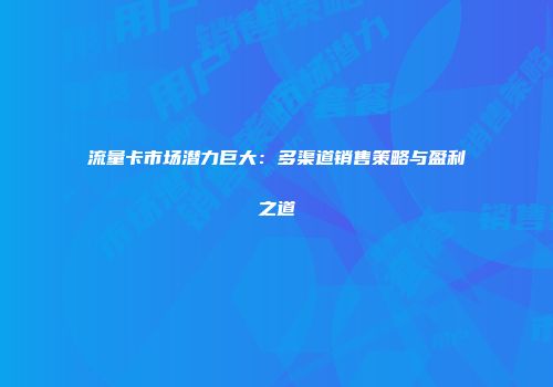 流量卡市场潜力巨大：多渠道销售策略与盈利之道