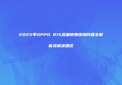 2025年OPPO R15流量使用缓慢问题全解析及解决建议