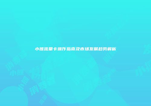 小摊流量卡操作指南及市场发展趋势解析