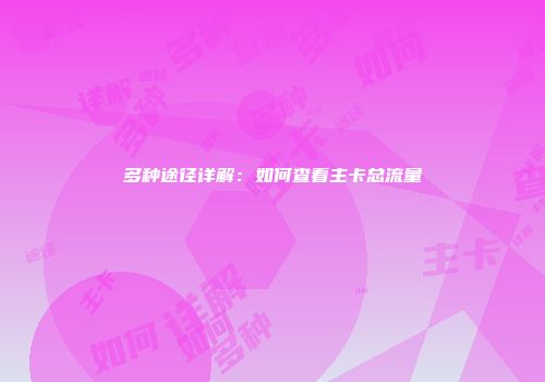 多种途径详解:如何查看主卡总流量