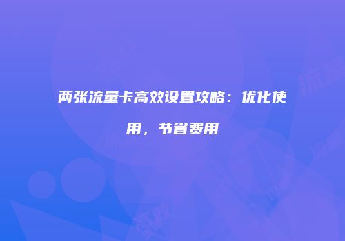两张流量卡高效设置攻略：优化使用，节省费用