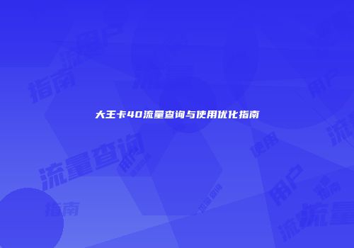 大王卡40流量查询与使用优化指南