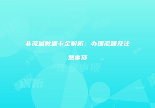 非流量数据卡全解析：办理流程及注意事项