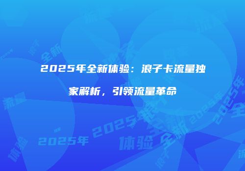 2025年全新体验：浪子卡流量独家解析，引领流量革命