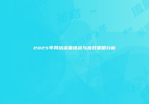 2025年网络流量挑战与应对策略分析