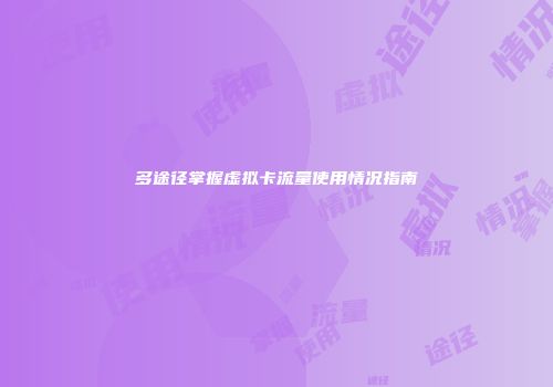 多途径掌握虚拟卡流量使用情况指南