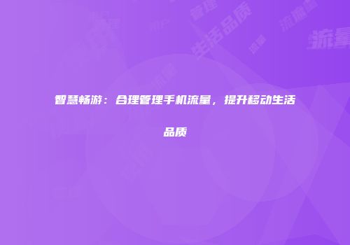 智慧畅游：合理管理手机流量，提升移动生活品质
