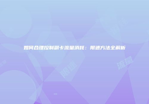 如何合理控制副卡流量消耗:限速方法全解析