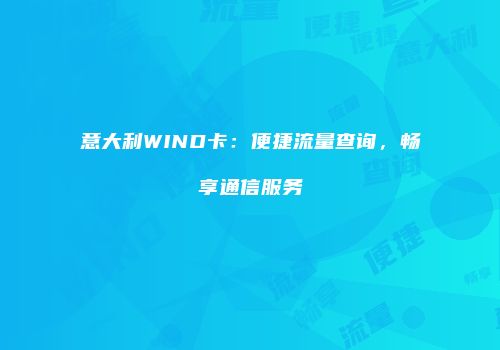 意大利WIND卡:便捷流量查询,畅享通信服务