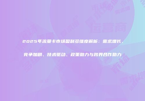 2025年流量卡市场盈利多维度解析：需求增长、竞争加剧、技术驱动、政策助力与跨界合作助力